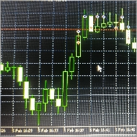 Shahid Hussain Malik