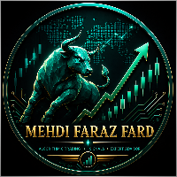 Mehdi Faraz Fard