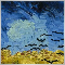Qing Yang Shao