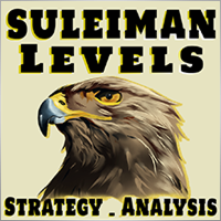 Suleiman Alhawamdah