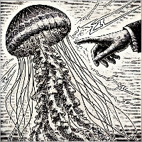 Evgenii Ias'kov