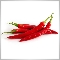 Peppers