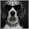 Philippe_ACE
