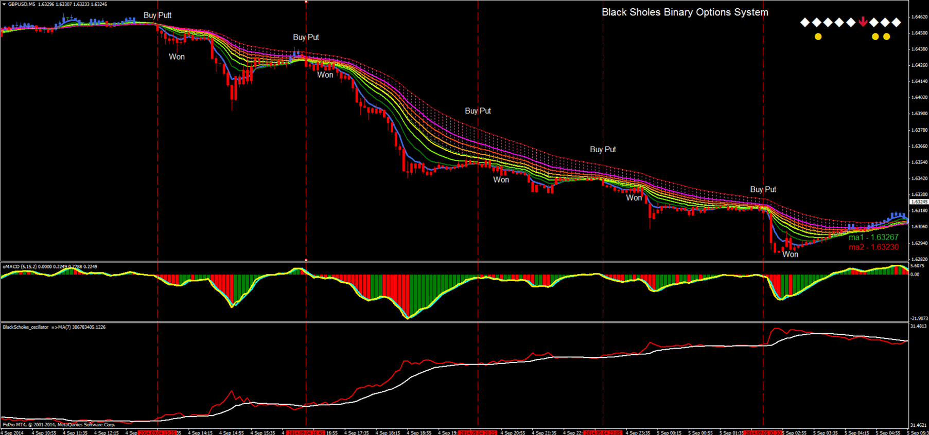 success in binary options