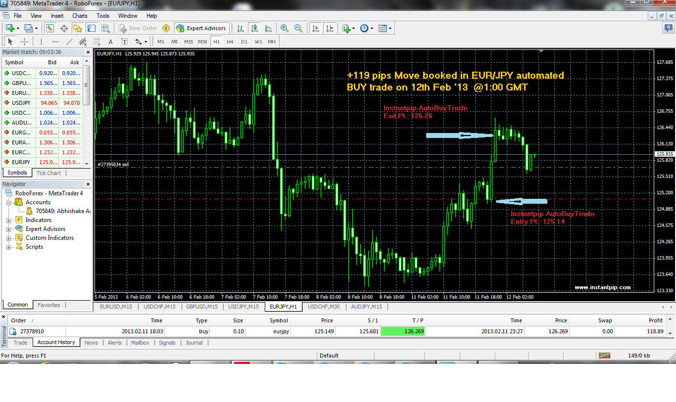 500 To 1000 Pips Month Instantpip Signal Trade Copier Vps Provider - 