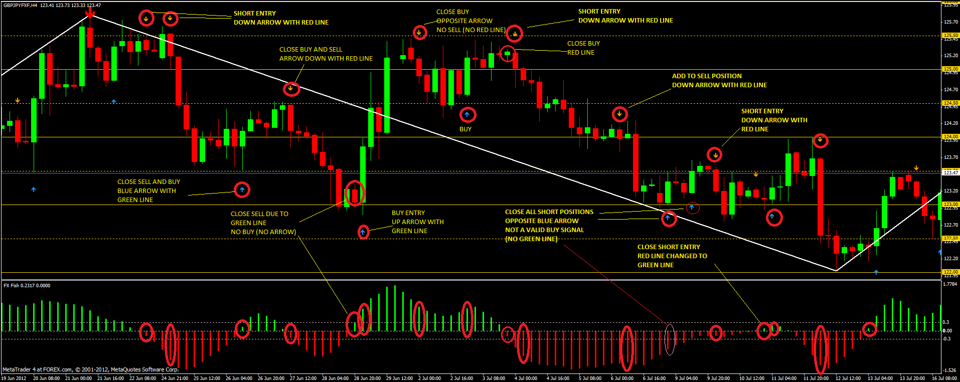 differenza tra opzioni binarie e forex