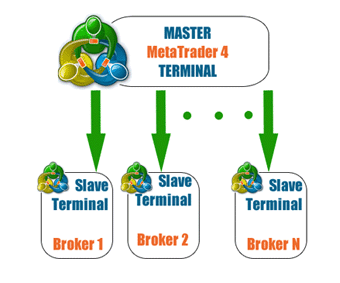 Forex trader pro forum