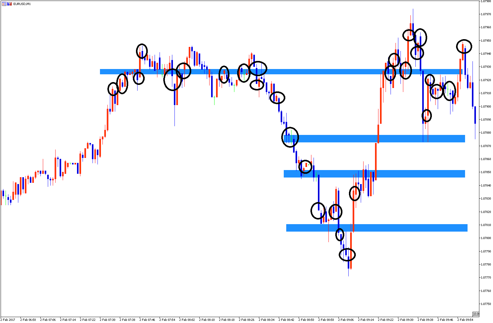 Investopedia forex walkthrough